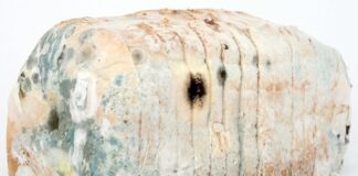 Jak zdezynfekować pęsetę?