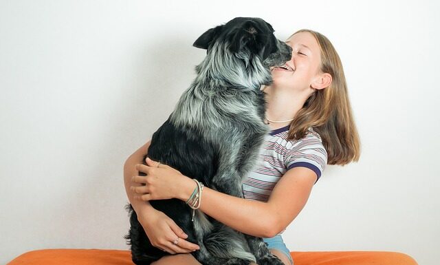 Co to jest obcas Thomasa? Co to jest obcas Thomasa?