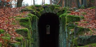 Czy w apteczce pierwszej pomocy powinna znajdować się instrukcja udzielania pierwszej pomocy?