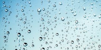 Czy mokre chusteczki się rozkładają?