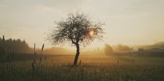 Co na ranę żeby się nie Przykleiło?