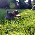 W jakim wieku powinno się mieć pierwszy raz?