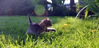 W jakim wieku powinno się mieć pierwszy raz?