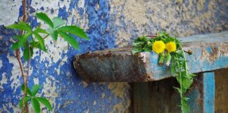 Czy można wypolerować porysowane okulary?