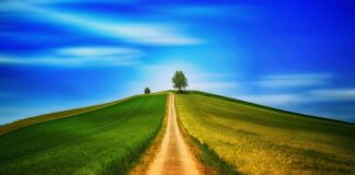 Czy chodzenie obniża ciśnienie?