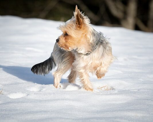 Dlaczego noski w okularach robią się zielone?