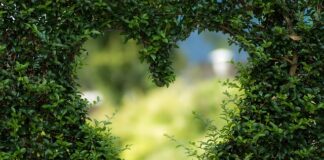 Co oznacza serce na wyświetlaczu ciśnieniomierza?