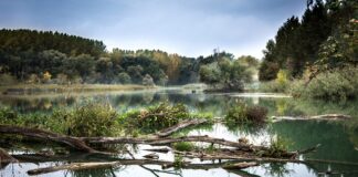 O czym pamiętać jadąc na Słowację?