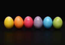 Czy można jeść jajka w czasie biegunki?