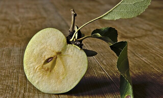Ile czasu rozkłada się ogryzek jabłka?