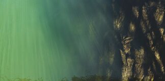 Jaki poziom cukru jest niepokojący?