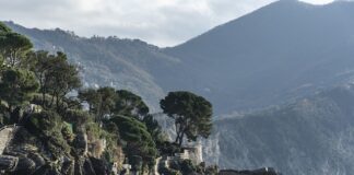 Ile kosztuje bandaż gipsowy?