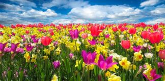 Ile po przebudzeniu mierzyć ciśnienie?