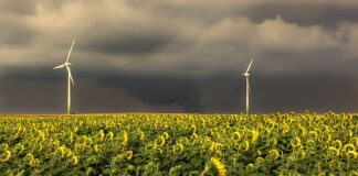 Jaka jest kolejność pierwszej pomocy?