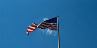 Gdzie się wbija IZAS 05?