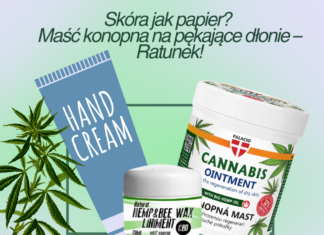 Maść konopna na pękające dłonie